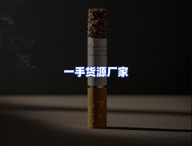 专业团队